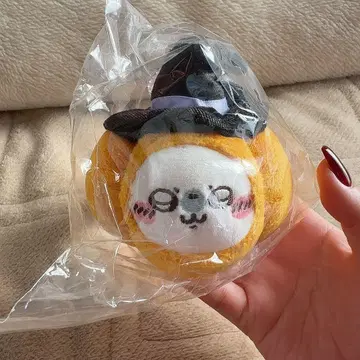 모몽가 호박 마스코트