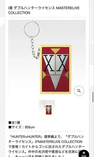 헌터헌터 제일복권 I상 더블 헌터 라이선스