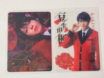 무대 카케구루이 카케스테 랜덤 클리어 카드 마메오다 카에데