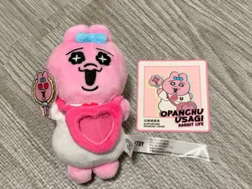 빤쮸토끼 덕질 toptoy