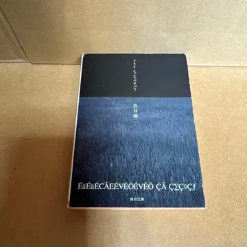 릴리 슈슈의 모든 것 이와이 슌지 초판