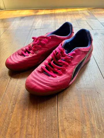 푸마 파라메히코 라이트 풋살화