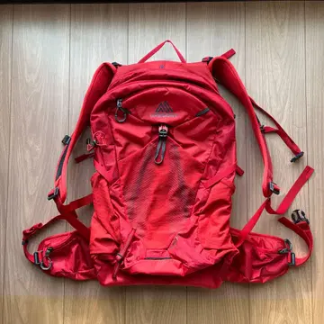 그레고리 미코20 남성용 레드