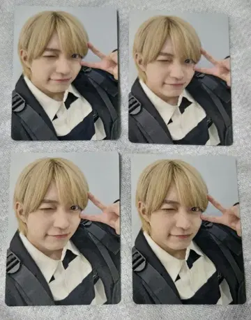 나니와단시 니시하타 다이고 트레이딩 카드