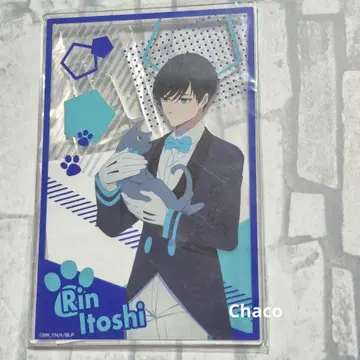 블루 록 이토시 린 난자타운 S상 아크릴 보드