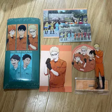 하이큐 토부 동물공원 콜라보 굿즈 세트 츠키시마 케이