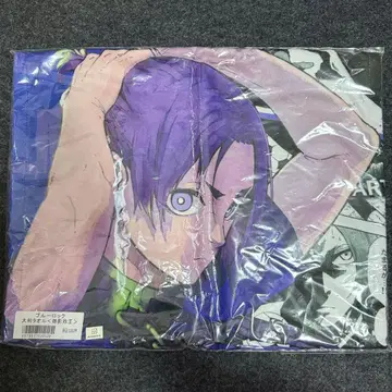 미카게 레오 타월