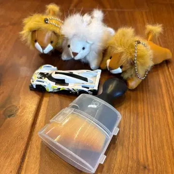 푸조 라이온 9X8 실내 클리너