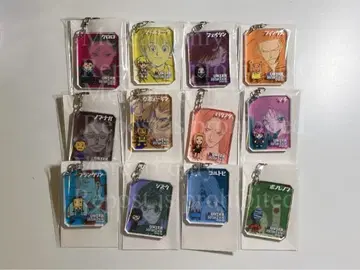 HUNTER x HUNTER 시크 아크릴 키링 환영여단 12종 세트