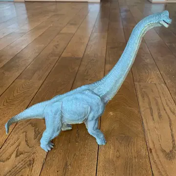 브라키오사우루스 리얼 약 30cm 파포사
