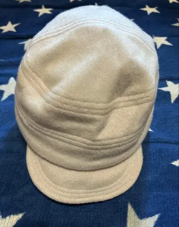 evisen skateboards 캡