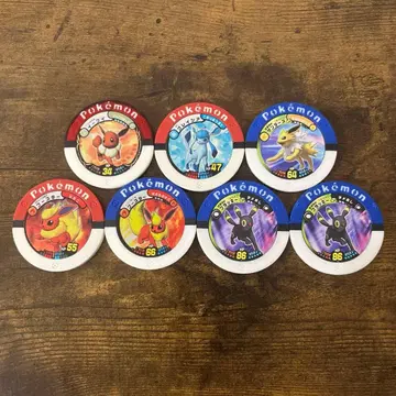 포켓몬 배틀 이브이 글레이시아 썬더 부스터 블래키