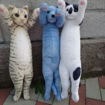 타치 Zoo 봉제 인형 고양이 3개 세트