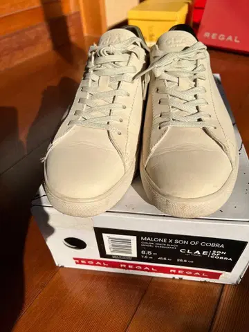 CLADE MALONE X SON OF COBRA 85 화이트