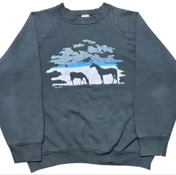 USA제 90s 빈티지 맨투맨 래글런 말 프린트