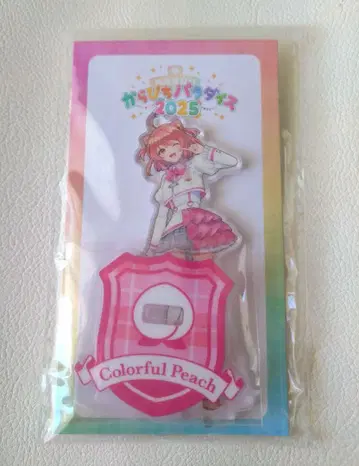 카라피치 파라다이스 2025* 노아 아크릴 스탠드