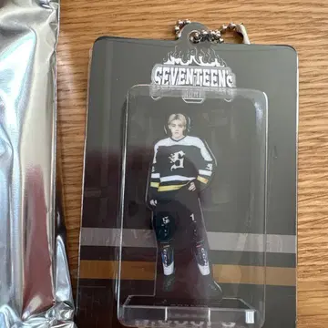 SEVENTEEN HOME 아크릴 키링 에스쿱스