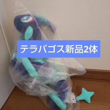 포켓몬 테라파고스 (노멀 형태) 2체