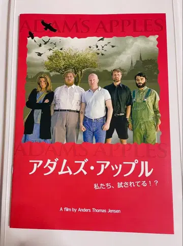 아담스 애플 팜플렛 마츠 미켈센 주연