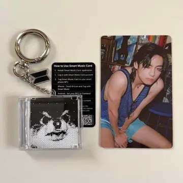 BTS 캡슐 앨범 vol.1 2025 FESTA V LAYOVER