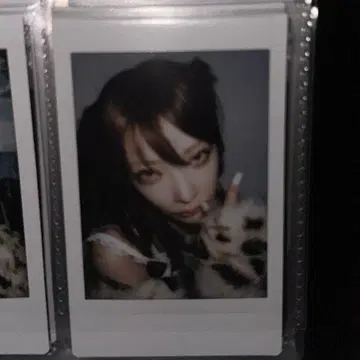 카티 폴라로이드