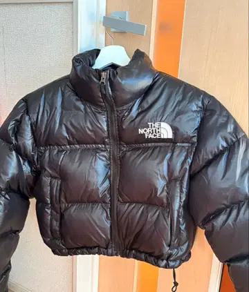 THE NORTH FACE 숏 기장 눕시