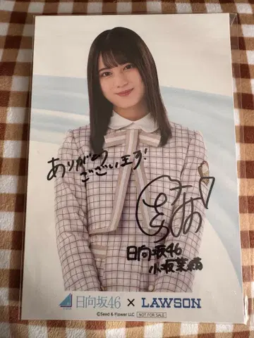 히나타자카46 코사카 나오 사인 포함 엽서