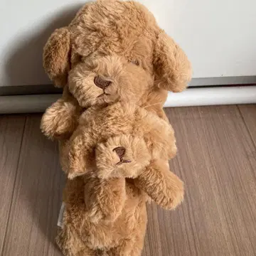 리브하트 쿠탓토비요리 푸들