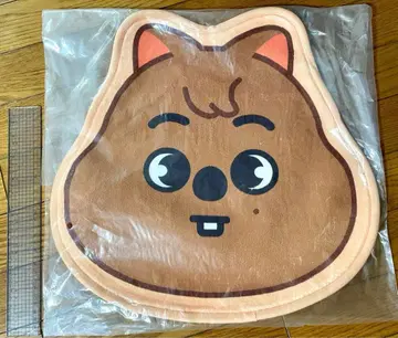 SKZOO 미니 카펫 한쿼카