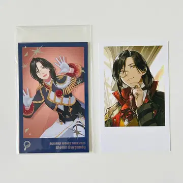 니지산지 SitR 고베 폴라로이드풍 카드 세트 셰린 버건디