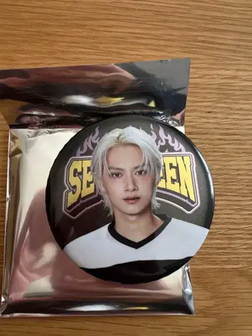 seventeen 세부치 2025 home 캔뱃지 준