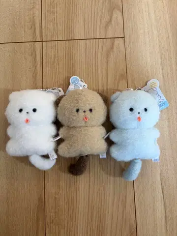 포근포근 배 보이는 큰 기쁨 3마리 묶음 세트