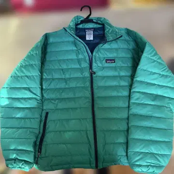 patagonia 남성용 M 다운 자켓 그린