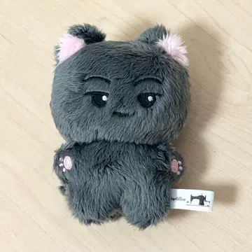 ENHYPEN 제이 봉제 인형