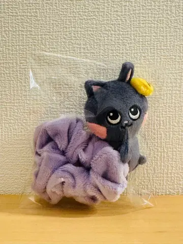 RIIZE 원빈 스크런치 냥독