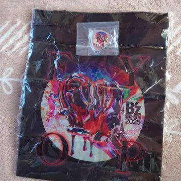 B'z LIVE-GYM 2025 오리지널 피크