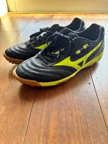 미즈노 란사멘토 SL4