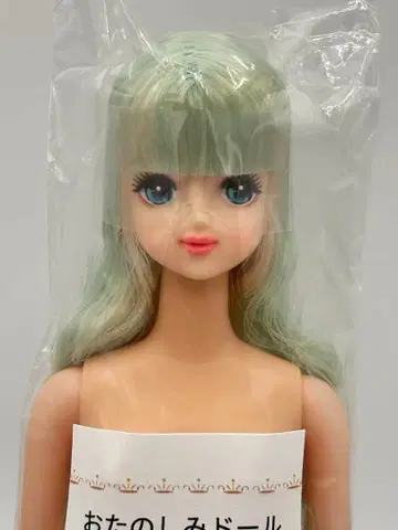 타마키 리카짱 캐슬 오타노시미 인형 화이트 옅은 그린 계열 제니 프렌드