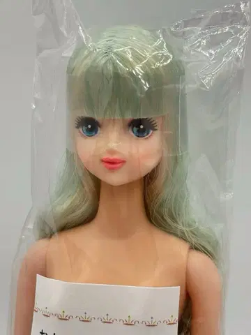 타마키 리카짱 캐슬 오타노시미 인형 화이트 옅은 그린 계열 제니 프렌드