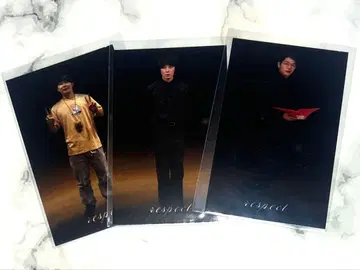 cacao respect 미니카드 묶음 판매