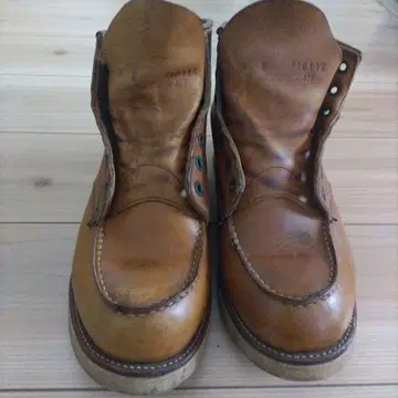 레어 각인] 레드윙 875 8E 28cm 아이리쉬 세터