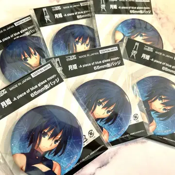 월희R 시엘 캔뱃지 6개