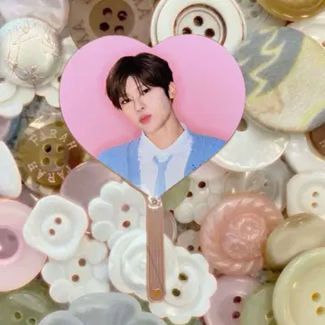 nctwish steady 부채 시온