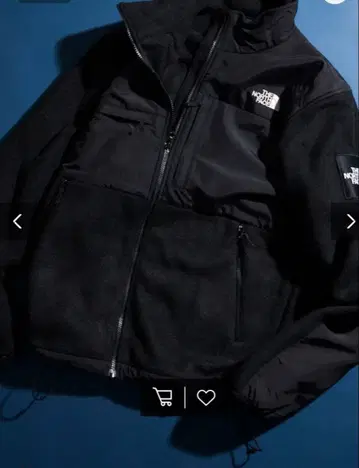 THE NORTH FACE 데날리 자켓 L
