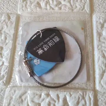 츠유 2024 혁명 전선 2연 피크 키링