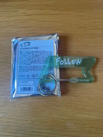 SEVENTEEN 세븐틴 FOLLOW AGAIN 카라비너 정한