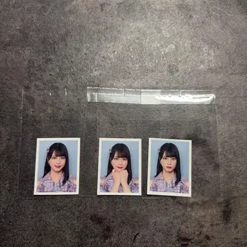 이콜럽(=LOVE) 사사키 마이카 ID 사진 컴프