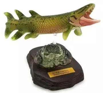 캡슐 Q 뮤지엄 고생대 생명 대폭발 유스 테노프테론 미개봉품