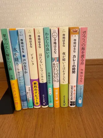 테라지 하루나 문고 소설 10권 세트