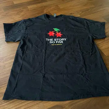 THE STORY SO FAR 티셔츠 ice grills